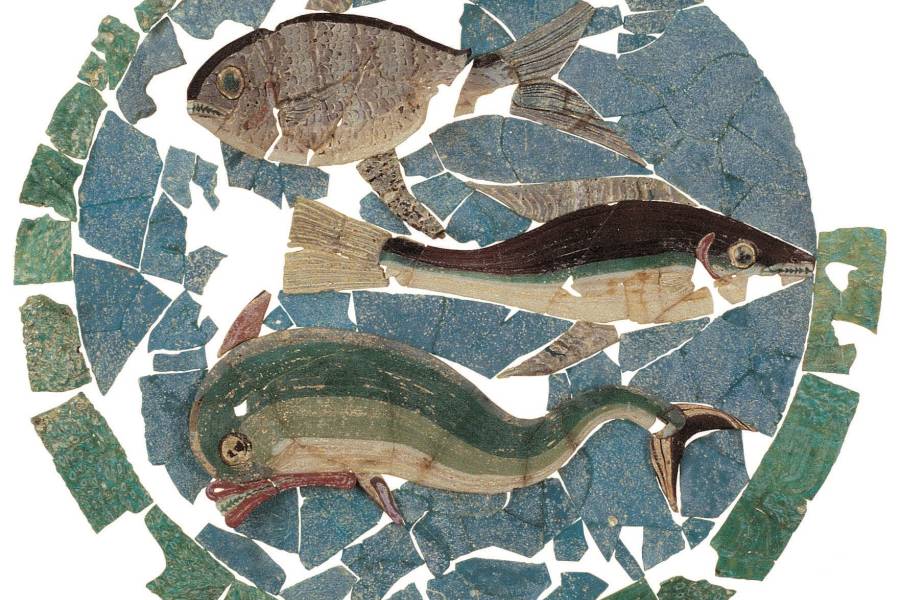 Rimini Art Card Biglietto Unico