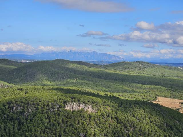 BuggyPark by HB-Adventure Switzerland 