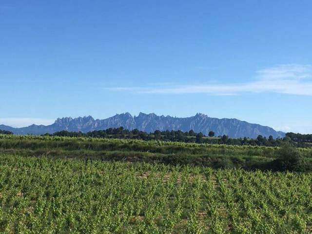 BuggyPark by HB-Adventure Switzerland 