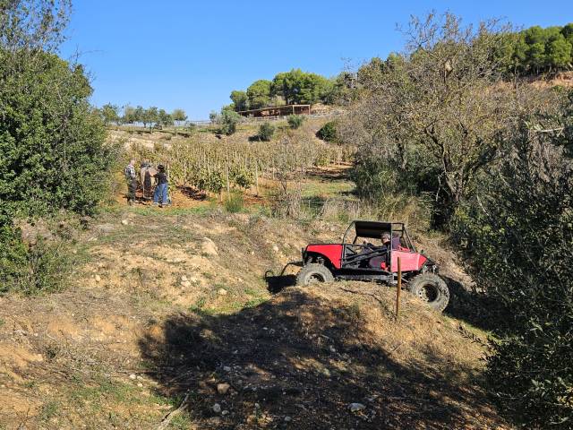 BuggyPark by HB-Adventure Switzerland 