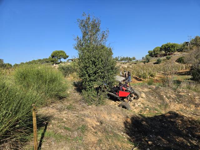 BuggyPark by HB-Adventure Switzerland 