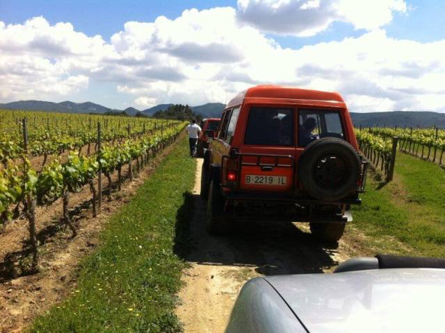 BuggyPark by HB-Adventure Switzerland 