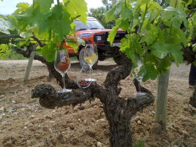 BuggyPark by HB-Adventure Switzerland 