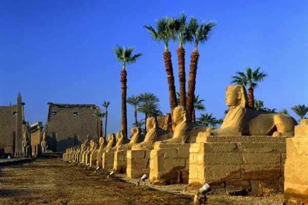  Excursions et excursions au Caire et Louxor
