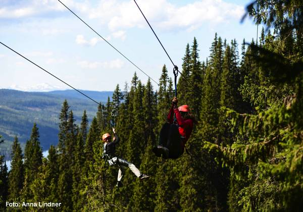 Zipline Black