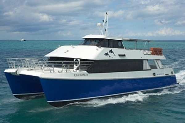  Inter Island / Cat Rose