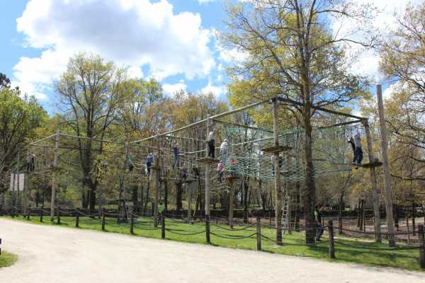  Especial Grupos & Empresas