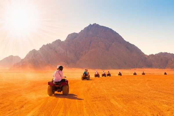  Makadi Safari Trips and Excursions