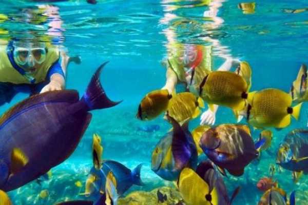  Makadi Snorkeling Tours and Excursions