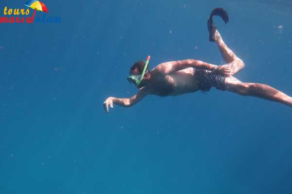  Snorkeling Trips From Marsa Alam