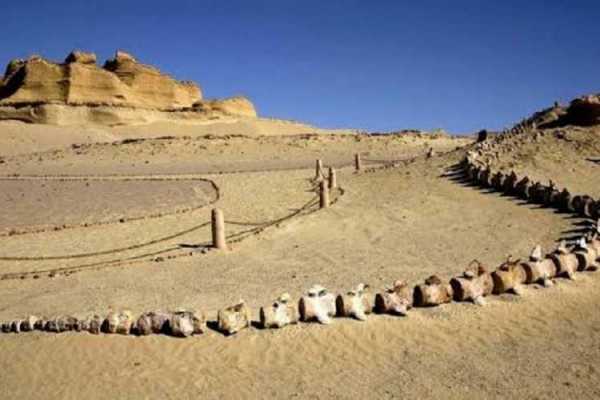  Topattracties van Fayoum