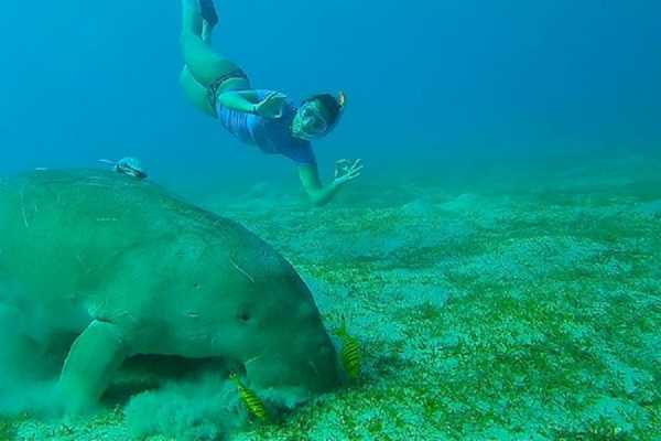  Marsaalam Tour packages