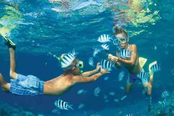  Snorkeling Excursions  From El Gouna&nbsp;