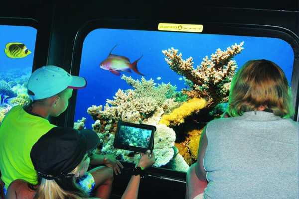  Submarine Trips From El Gouna&nbsp;
