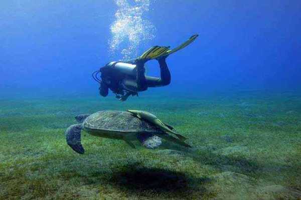  Top 20 Things To Do In Marsa Alam