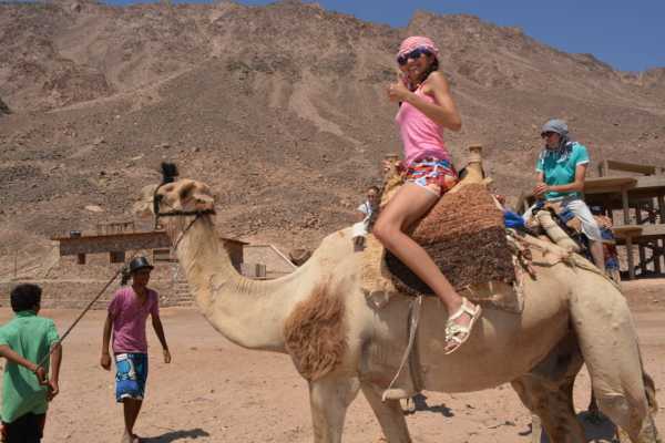  Safari Tours From Sharm el Sheikh