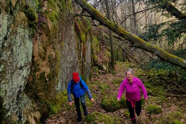  HIKES & WALKS WITH GUIDE