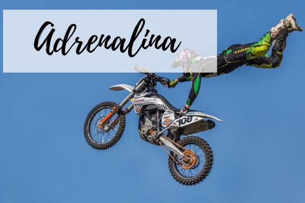  Adrenaline