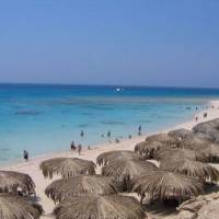Excursies Egypte Snorklingsturer fr&aring;n El Gouna