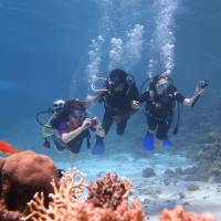 Excursies Egypte Snorklingsturer fr&aring;n El Gouna
