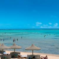 Excursies Egypte Snorklingsturer fr&aring;n El Gouna