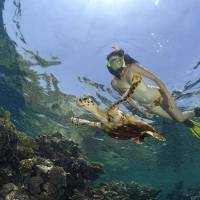 Excursies Egypte Snorklingsturer fr&aring;n El Gouna