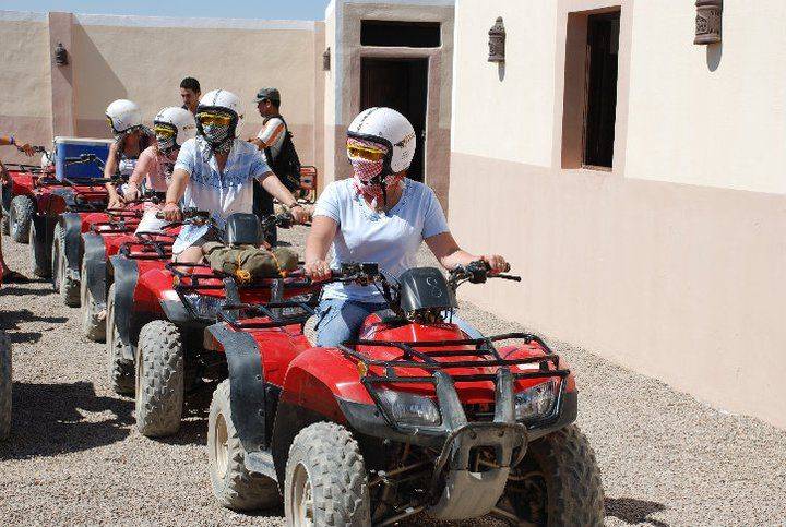 Excursies Egypte Safari-turer fr&aring;n El Gouna