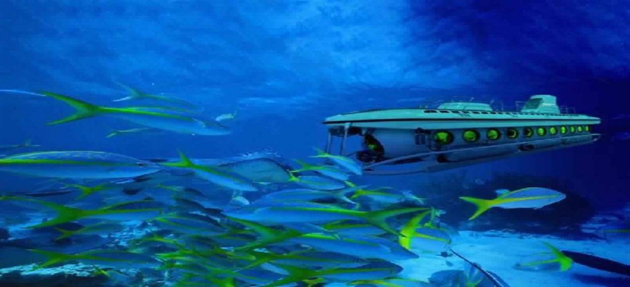 Excursies Egypte Submarine resor fr&aring;n Marsa Alam