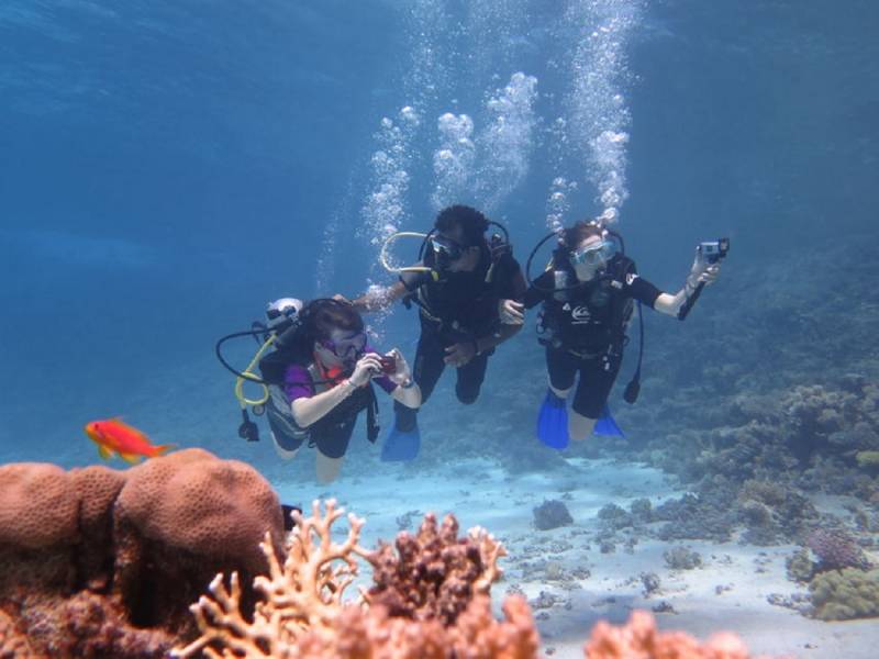 Excursies Egypte Snorkeling Trips in Marsa alam