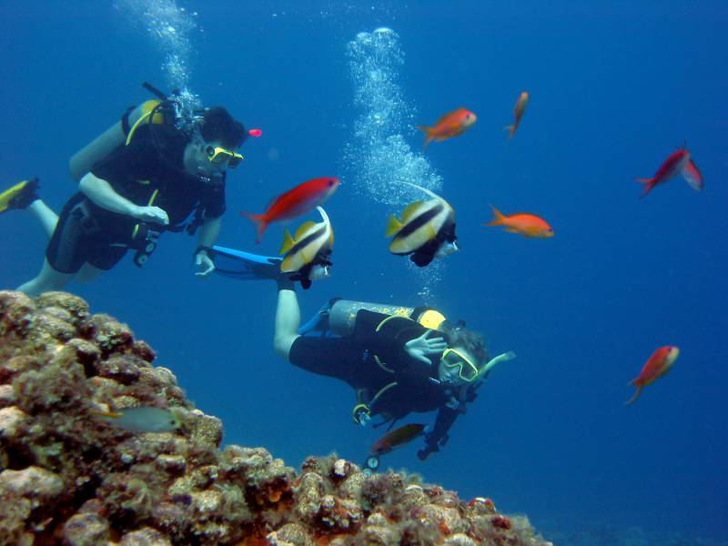 Excursies Egypte Snorkeling Trips in Marsa alam