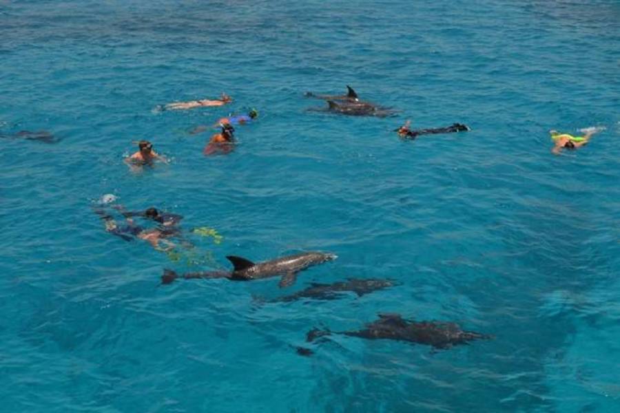 Excursies Egypte Snorkeling Trips in Marsa alam