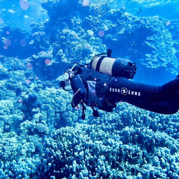 Excursies Egypte Snorkeling Trips in Marsa alam