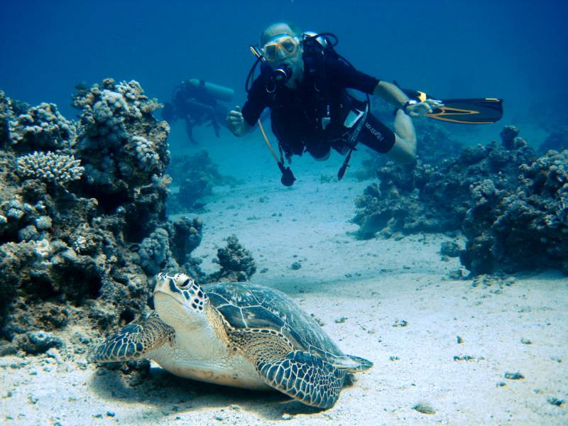 Excursies Egypte Snorkeling Trips in Marsa alam