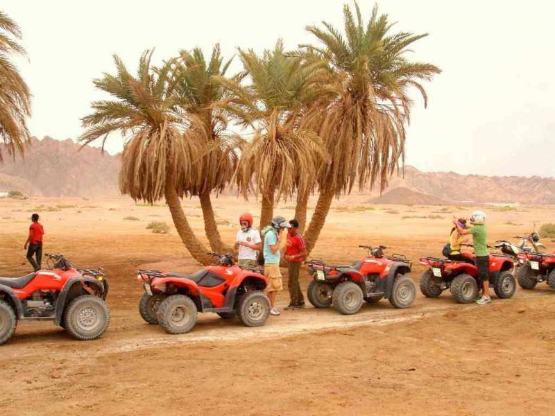 Excursies Egypte Safari Tours From Makadi