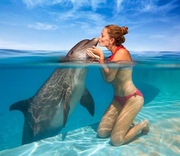 Excursies Egypte Makadi Snorkeling tour and excursions&nbsp;