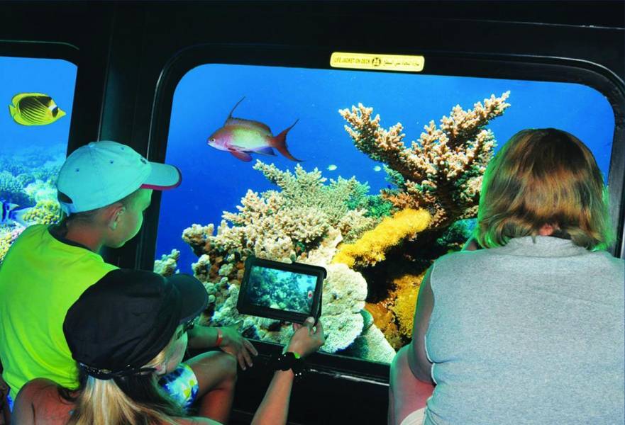 Excursies Egypte Snorkeling Trips From Soma Bay