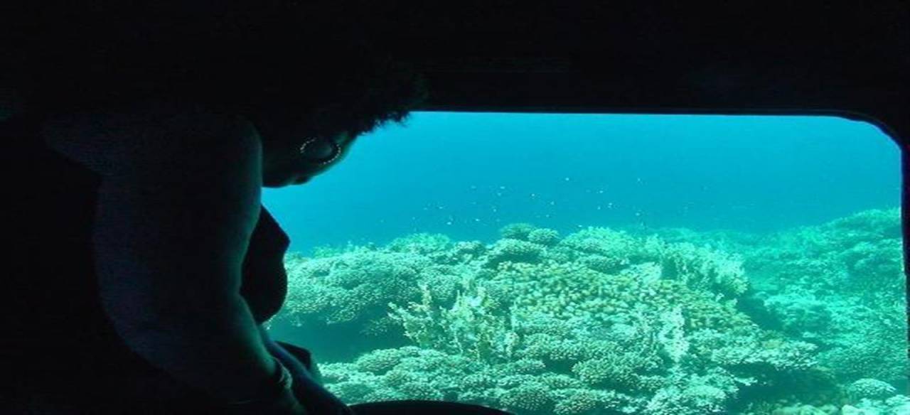Excursies Egypte Snorkeling Trips From Soma Bay