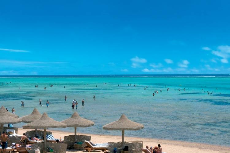 Excursies Egypte Snorkeling Trips From Soma Bay