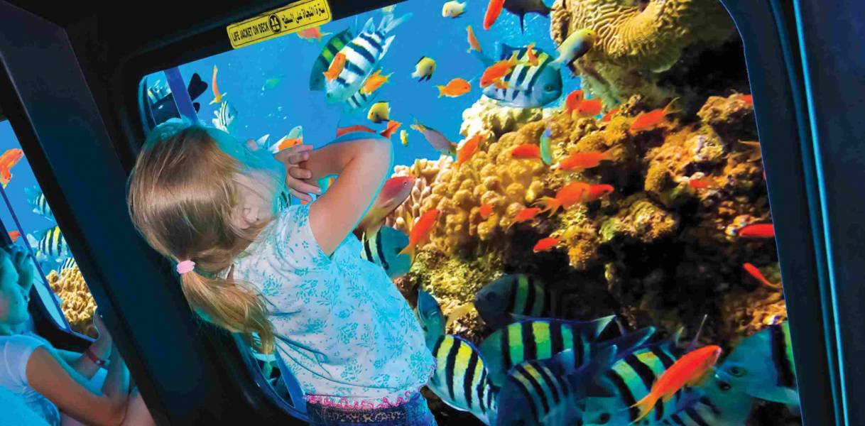 Excursies Egypte Snorkeling Trips From Soma Bay