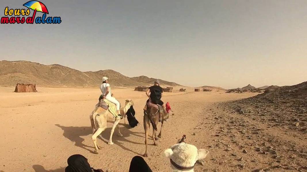 Excursies Egypte Safari tours from Soma bay&nbsp;