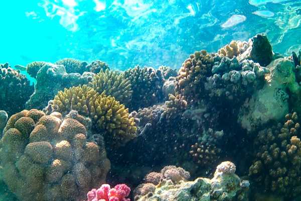  Snorkeling Tours in Hurghada