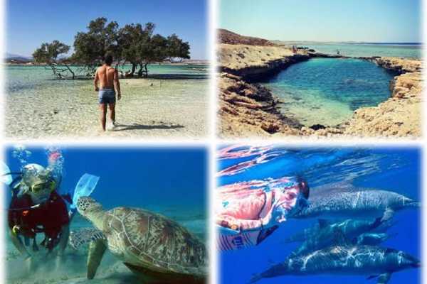  Snorkeling Trips From Marsa Alam