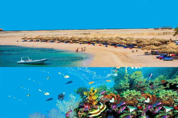  Snorkeling Excursions From port Ghalib