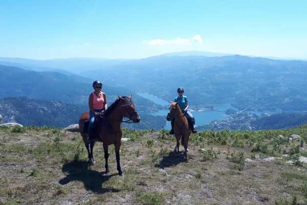  Horse Riding