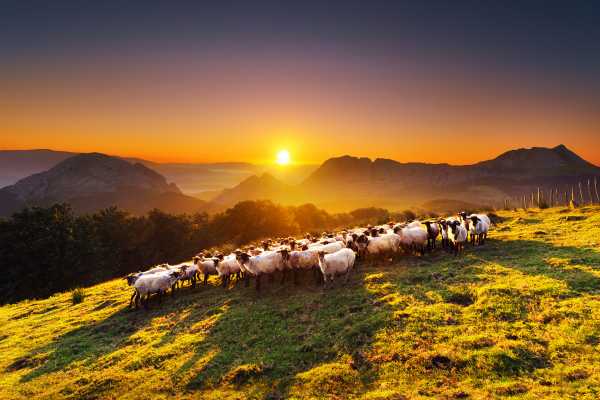  DEGUSTANDO PAISAJES Y TRADICIONES