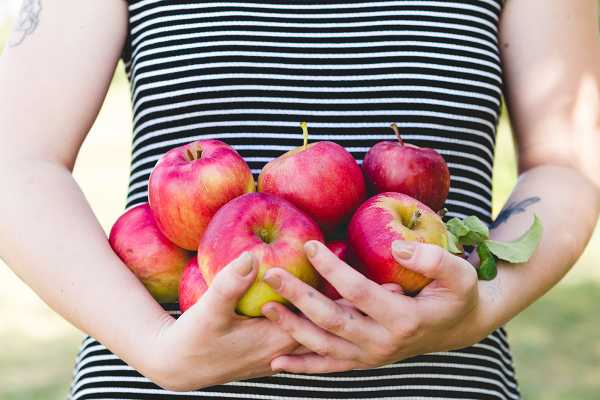  La sed de los vascos