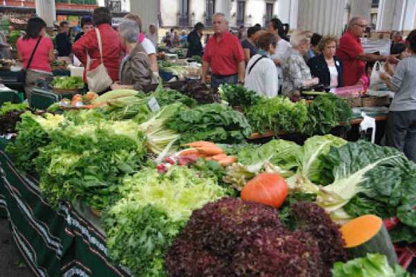  Día de mercado en Ordizia y remate dulce en Tolosa