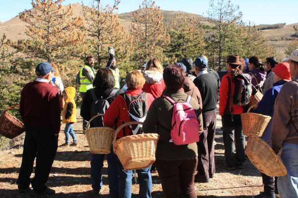  Salida micológica por la Sierra del Gorbeia
