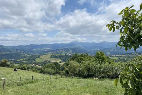  DESCUBRIENDO ENKARTERRI