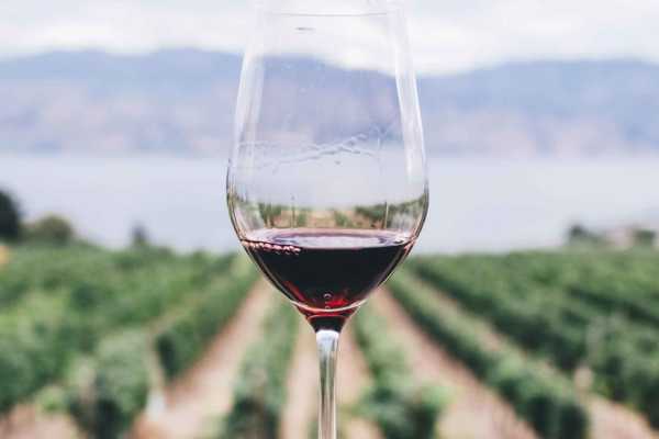  El vino: una experiencia multisensorial